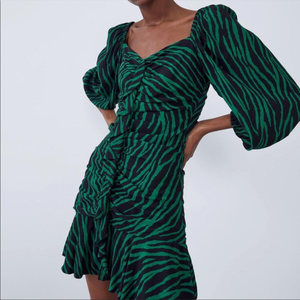 NWT Zara Dress